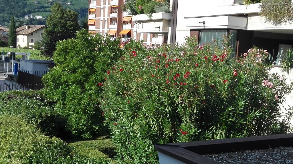 Camere Bolzano Da Glauco Exterior photo